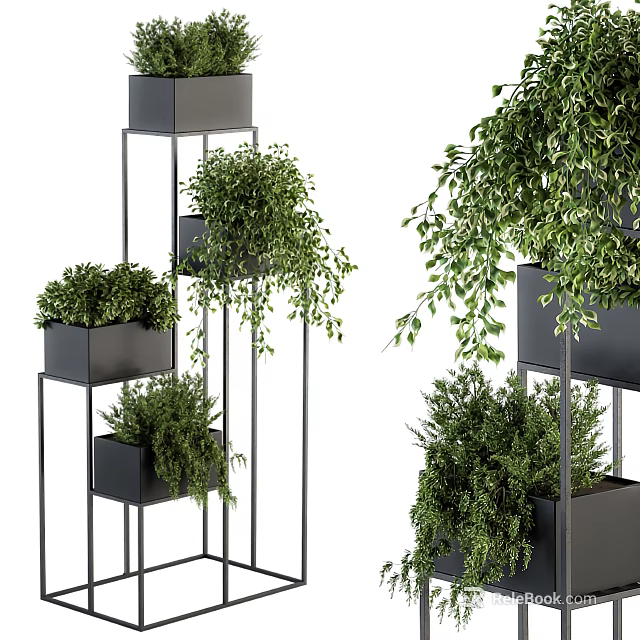 Layered Potted Green Plants In Black Pots On Metal Stands With Various Heights 3d model 
