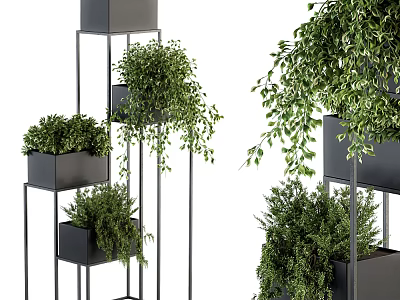 Layered Potted Green Plants In Black Pots On Metal Stands With Various Heights 3d model
