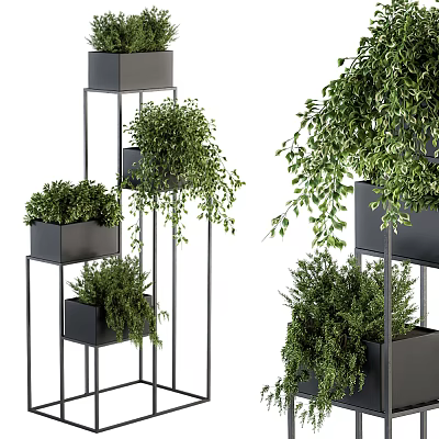 Layered Potted Green Plants In Black Pots On Metal Stands With Various Heights 3d model