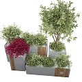 Concrete Flower Planters With Red Green Shrubs And Trees In Outdoor Area