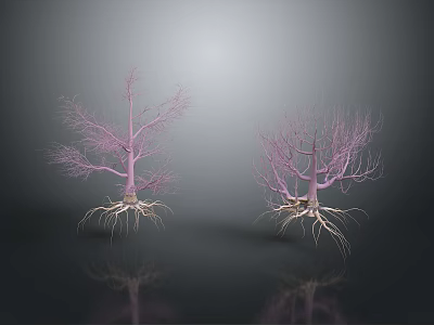 Two Pink Trees With Exposed Roots Branches And Reflections On Gray Background 3d model