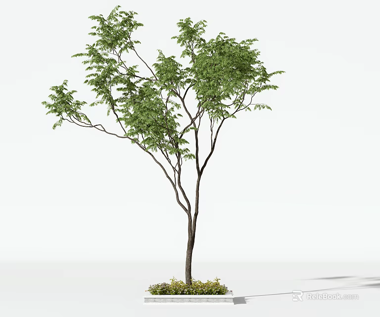 Single Arbor With Green Leaves And Dark Trunk On White Background With Small Plants 3d model 