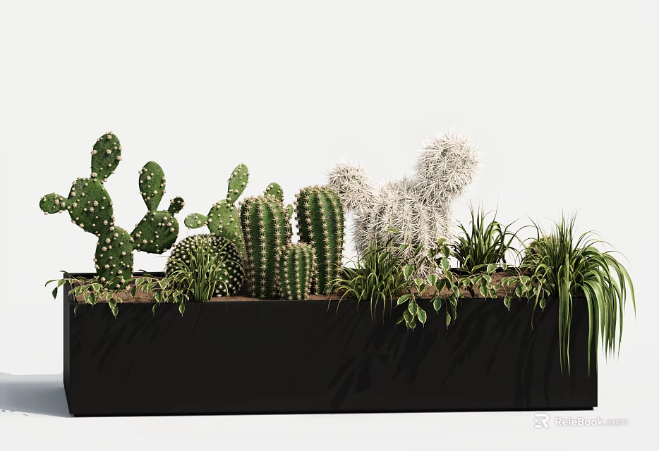 Varied Cacti and Succulent Potted Plants in Black Rectangular Planter with Green Foliage 3d model 