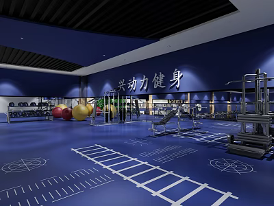 Modern Fitness Gym Interior With Blue Floor White Lines Exercise Balls And Workout Equipment 3d model