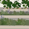 Diverse Plant Combination With Pink Lotus Purple Flowers And Green Shrubs In White Planters