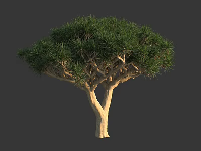 Lush Arbor With Green Foliage Sturdy Trunk And Dense Branches 3d model