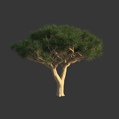 Lush Arbor With Green Foliage Sturdy Trunk And Dense Branches 3d model