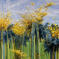 Tall Decorative Columns With Yellow Blue Flowers On Green Grass With Trees And Sky