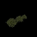 Decorative Ornament Set Featuring Green Shrubs In Various Natural Shapes