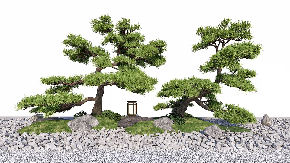 Japanese Garden Courtyard With Pine Trees Stone Lantern And Rock Path 3d model