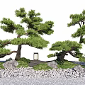 Japanese Garden Courtyard With Pine Trees Stone Lantern And Rock Path 3d model