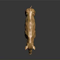 Professional Golden Pig Anatomical Model For Veterinary Medical Instrument Training