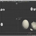 Textured Eggshells in Intact Partially Broken and Cracked States 3d model
