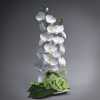 Stunning Blooming White Orchids And Green Plants Arrangement Against Gray Background 3d model