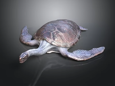 Detailed View Of Sea Turtle Organs Shell Flippers And Head Structure 3d model