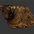 Detailed Anatomical Organ Structure With Natural Hair Texture And Features