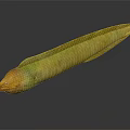 Green and Yellow Eel with Slender Body and Orange Head on Dark Surface Reflection 3d model