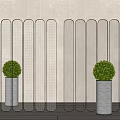 Modern Bonsai Plant in Silver Metal Vase with Transparent Glass Screen Background