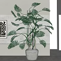 Large Indoor Potted Monstera Plant With Gray Cement Pot And Decorative Wall Art