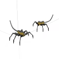 Yellow And Black Spider Robots With Mechanical Legs And Long Tails