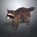 Realistic Brown Raccoon With Striped Tail Standing On Smooth Gray Surface