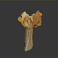 Fresh Organic Exotic Mushroom With Orange Yellow Frilly Edges And Trumpet Shape