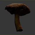 Fresh Brown Wild Mushroom With Textured Cap And Firm Stem For Cooking