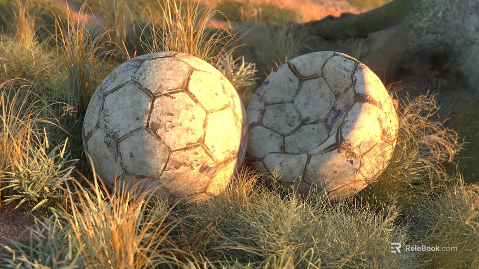 Two Vintage Textured Soccer Balls Lying On Natural Grass Field Outdoor 3d model 