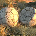 Two Vintage Textured Soccer Balls Lying On Natural Grass Field Outdoor