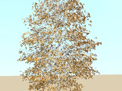 Golden Leaf Arbor with Autumn Foliage Against Blue Sky and Ground Surface 3d model