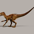 Brown Reptile Dinosaur with Open Mouth Long Slender Tail Standing Posture and Sharp Claws