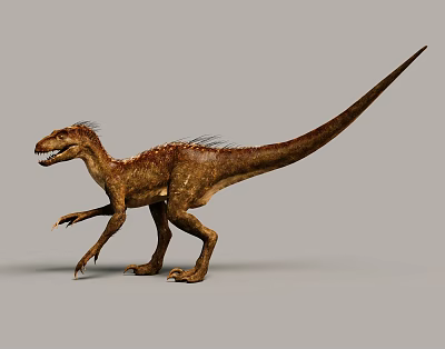 Brown Reptile Dinosaur with Open Mouth Long Slender Tail Standing Posture and Sharp Claws 3d model