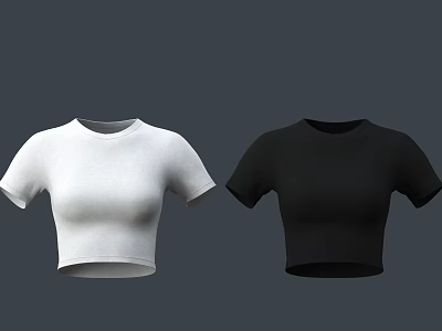 White and Black Short Sleeve Crop Tops with Fitted Slim Design 3d model