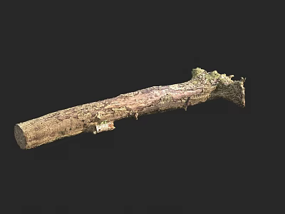 Natural Rustic Stone Wood Log With Moss Covered Bark And Textured Surface 3d model