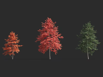 Three Arbor Trees with Orange Red Green Lush Foliage and Upright Trunks 3d model