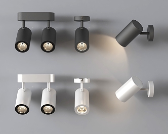 surface mounted downlight spotlight steering type 3d model