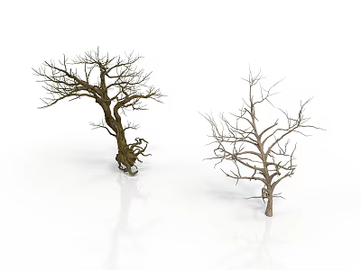 Two Dry Leafless Trees With Bare Branches And Twisted Trunks 3d model