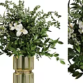 Decorative Potted Plant With Lush Green Foliage And White Flowers In Golden Vase