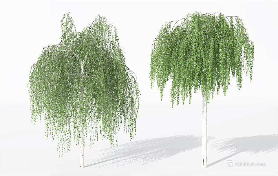 Two Weeping Willow Arbors With Lush Green Hanging Branches And White Trunks 3d model 