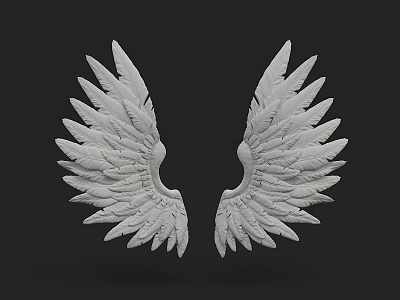 White Feathered Wings Wall Decor with Intricate Texture for Home Decoration 3d model
