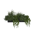 Hanging Planter with Lush Green Plants and Trailing Vines for Home Decoration