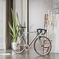 Modern Light Green Bicycle Indoor With Tall Green Plant And Textured Wall Decor