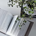 Decorative Ornament Set With Open Book Stacked Books Gray Vase Green Foliage And Framed Artwork