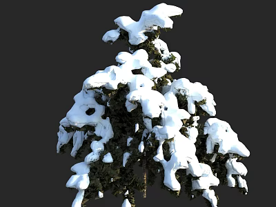 Snow Covered Arbor With Thick White Snow On Branches Against Dark Background In Winter 3d model