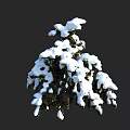 Snow Covered Arbor With Thick White Snow On Branches Against Dark Background In Winter