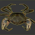 Crab With Detailed Orange Brown Shell Large Claws On Dark Surface