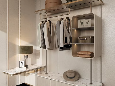 Modern Wardrobe Interior With Hanging Clothes Storage Shelf Hat Lamp And Picture Frame 3d model