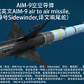 Sidewinder AIM9 Air to Air Missile With Heat Seeking Guidance System