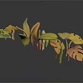 Cartoon Style Yellow Decorative Plants With Leaves Mushrooms And Dark Background Reflection