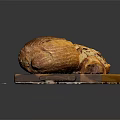 Golden Crust Freshly Baked Loaf And Sliced Bread On Wooden Cutting Board